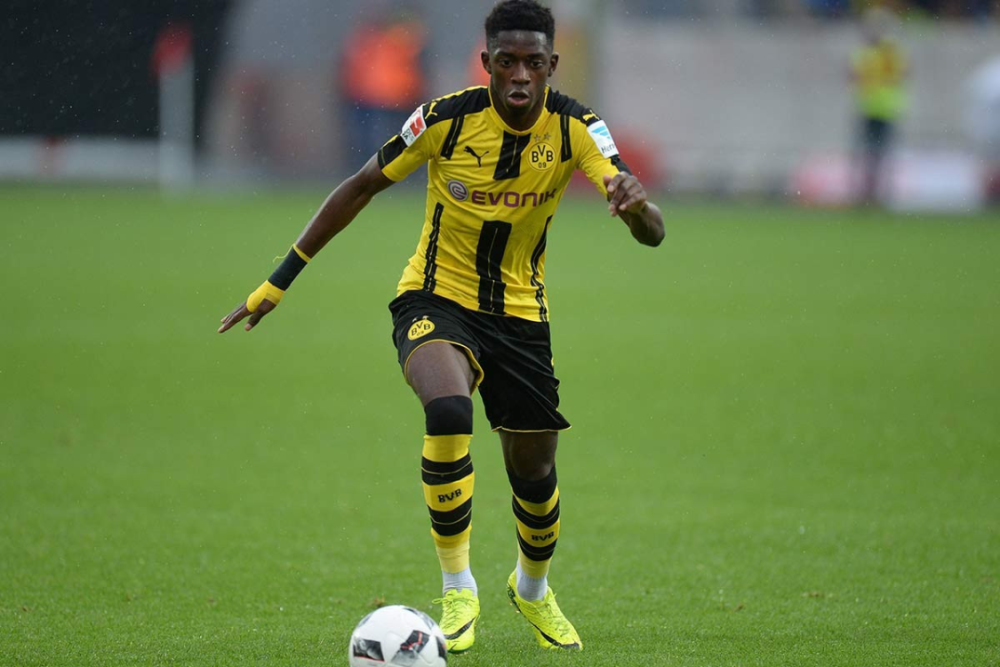 埋下伏笔 埋下伏笔